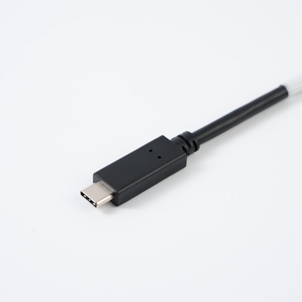 Type C